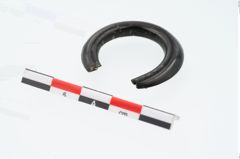 Foto von Gagatring (NHMW-PRAE-026432)